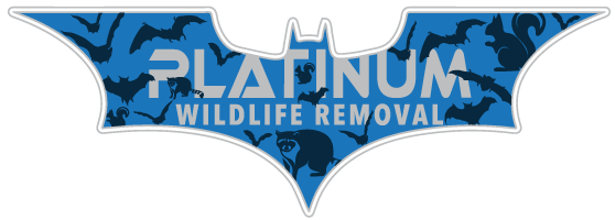 Squirrel Eradicators LLC